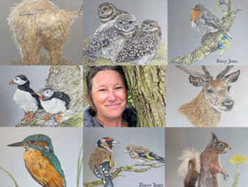 Display of animal pictures