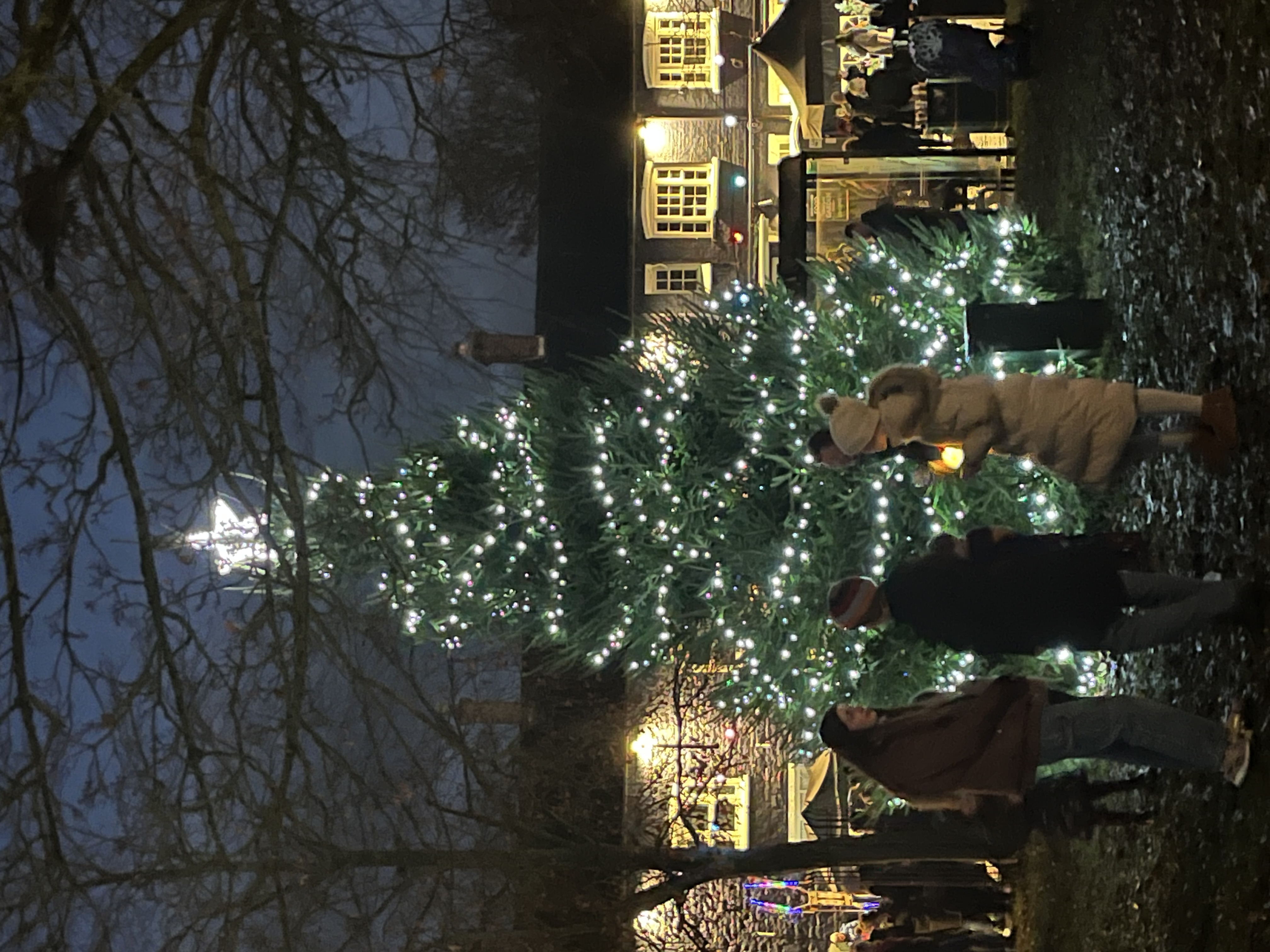 Christmas Market & Tree Lighting